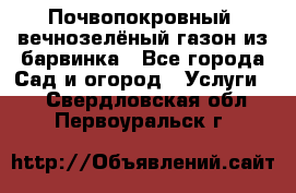 Почвопокровный, вечнозелёный газон из барвинка - Все города Сад и огород » Услуги   . Свердловская обл.,Первоуральск г.